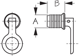 3511?width=380&height=380